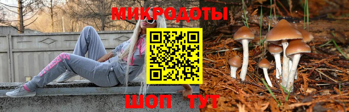 Псилоцибиновые грибы GOLDEN TEACHER Тулун